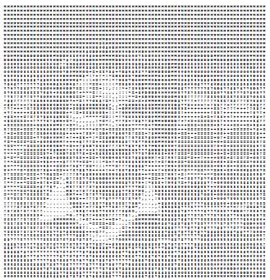 Raab - ASCII portrait